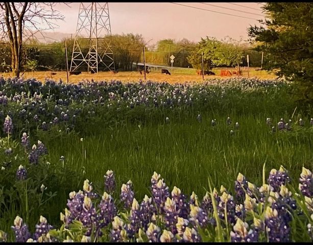 TBD Fm 118, Greenville, TX 75401
