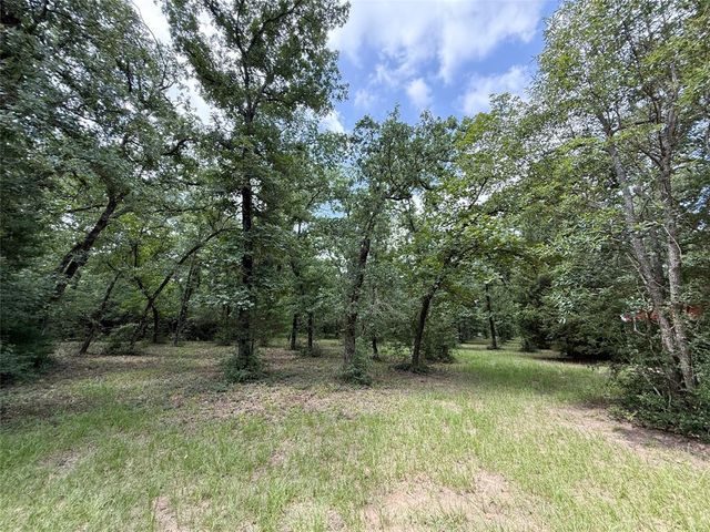 16316 County Road 224, Oakwood, TX 75855