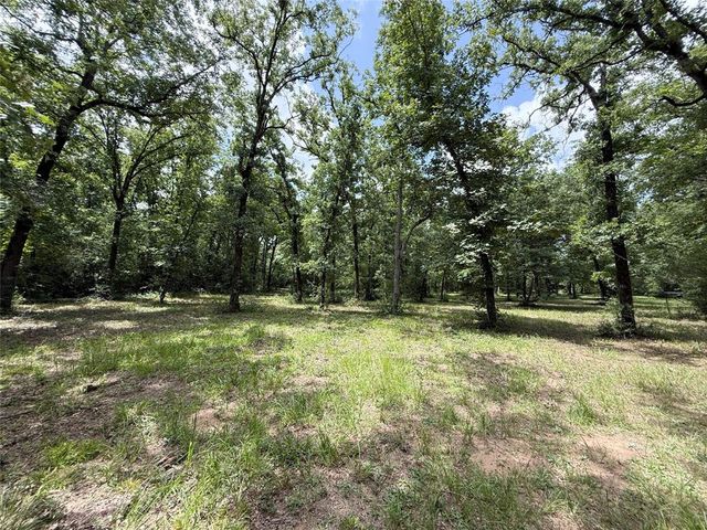 16316 County Road 224, Oakwood, TX 75855