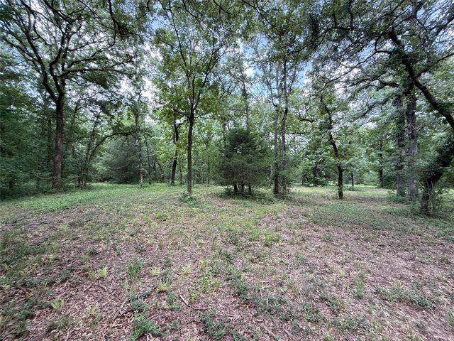 16316 County Road 224, Oakwood, TX 75855
