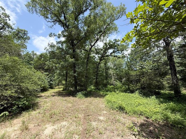 16316 County Road 224, Oakwood, TX 75855