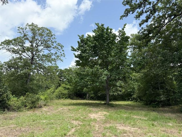 16316 County Road 224, Oakwood, TX 75855