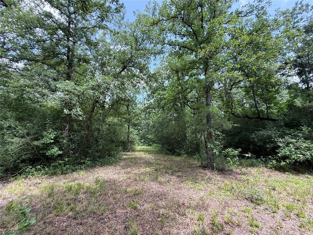 16316 County Road 224, Oakwood, TX 75855