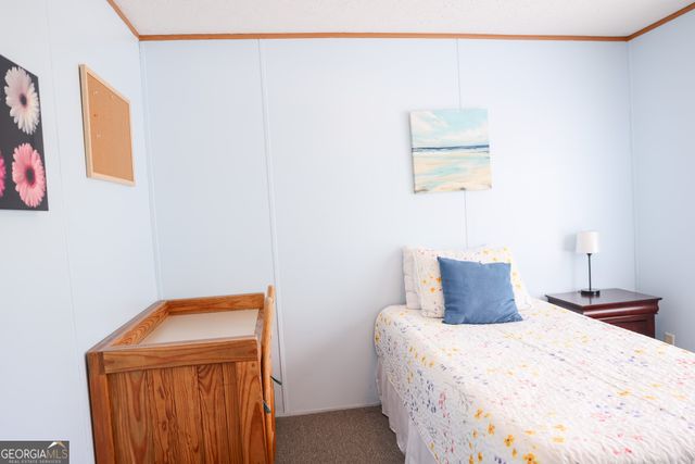 766 Parks Road, Mauk, GA 31058