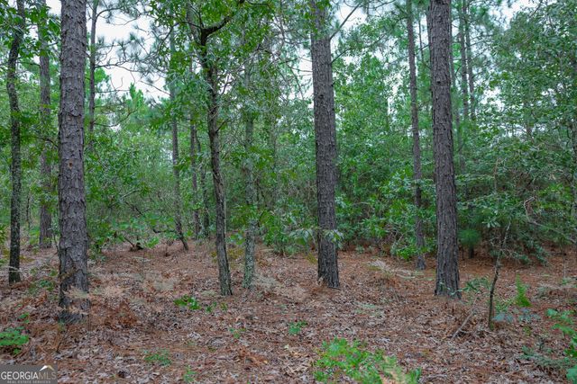 766 Parks Road, Mauk, GA 31058