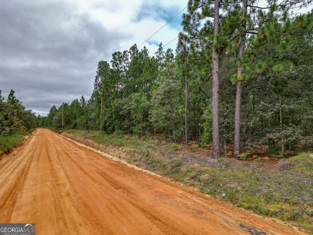 766 Parks Road, Mauk, GA 31058