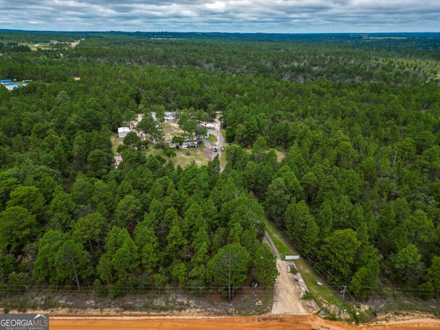766 Parks Road, Mauk, GA 31058