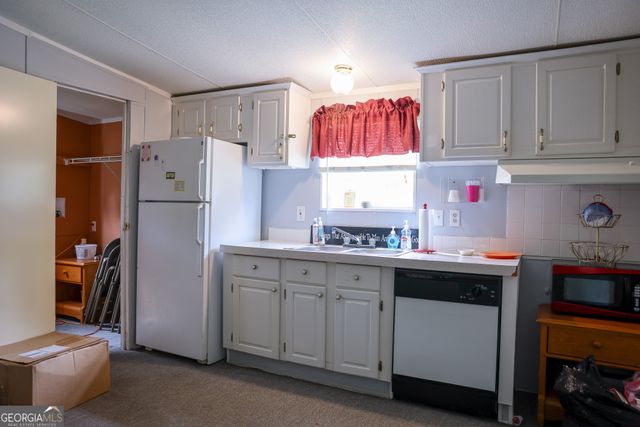 766 Parks Road, Mauk, GA 31058