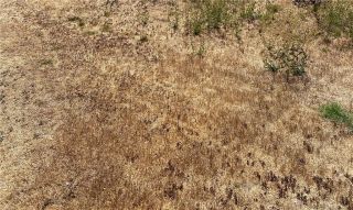 0 Vac/Vic Ave #7/223, Llano, CA 93544