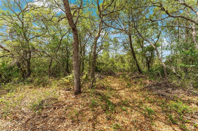8212 N ZAVAL AVENUE, Dunnellon, FL 34433