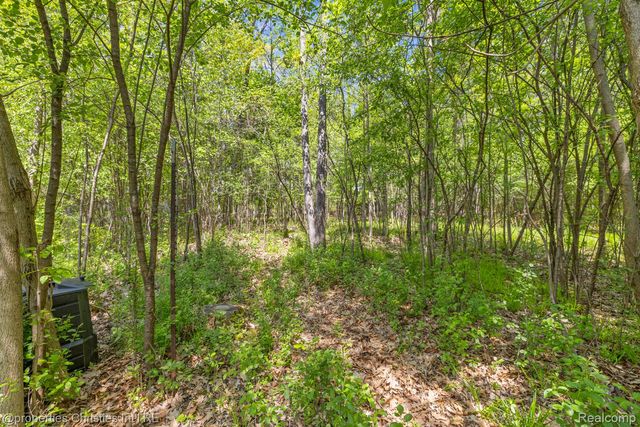 1041 Greentree Road, Bloomfield Hills, MI 48304