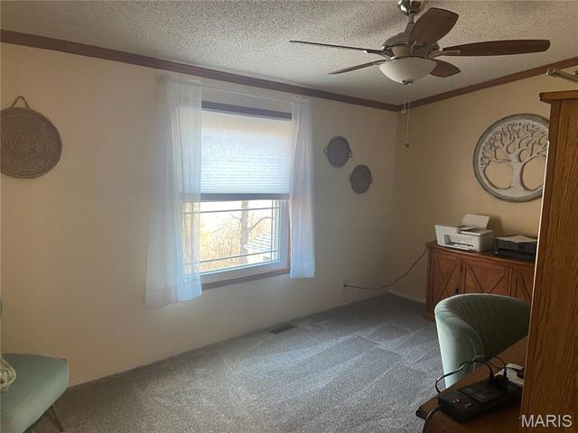 300 Wild Creek Court, De Soto, MO 63020