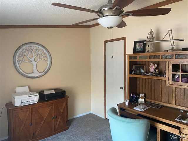 300 Wild Creek Court, De Soto, MO 63020