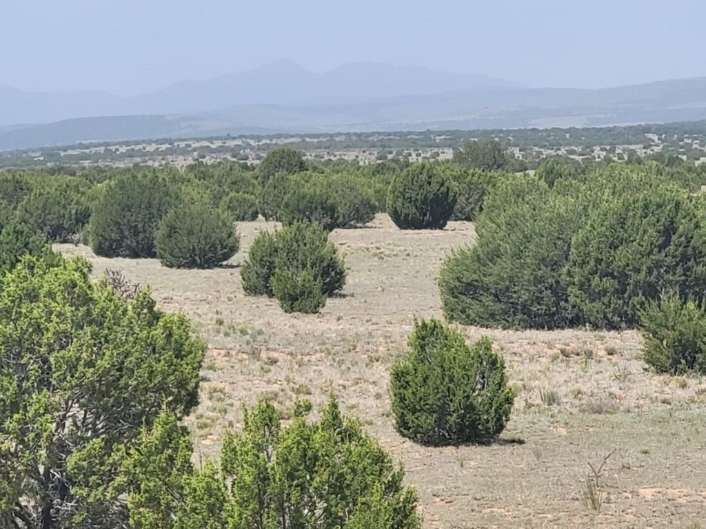 170 Quiet Valley Drive, Estancia, NM 87016