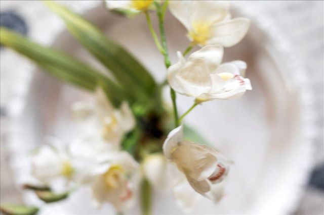 1605 S Us Highway 1 A303, Jupiter, FL 33477