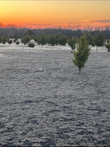 1110 County Road 697, Farmersville, TX 75442