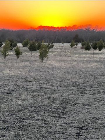 1110 County Road 697, Farmersville, TX 75442