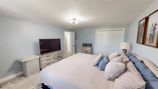 9937 Patton Street, Twinsburg, OH 44087