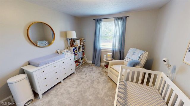 9937 Patton Street, Twinsburg, OH 44087