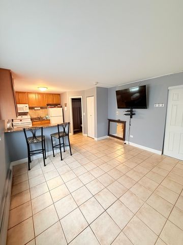 4620 Fishermans Terrace GE, Lyons, IL 60534