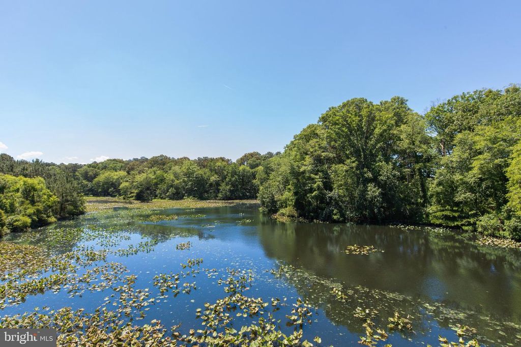Image 29 of property listing at 228 CANAL DR #G-208, Salisbury, MD 21804