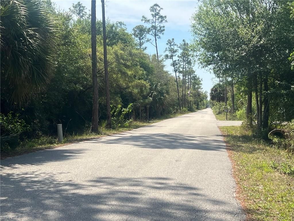 20821 Lazy D Farm RD, ESTERO, FL 33928 — photo 3