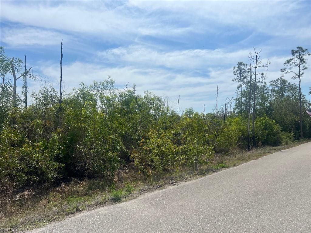 20821 Lazy D Farm RD, ESTERO, FL 33928 — photo 4