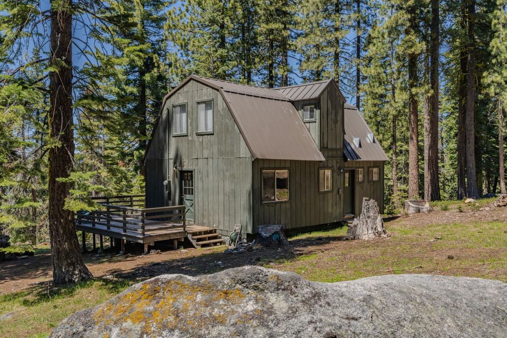 18181 Pardoes Rd, Pioneer, CA 95666