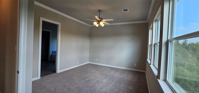 3801 Peacock Isle Drive, Dickinson, TX 77539