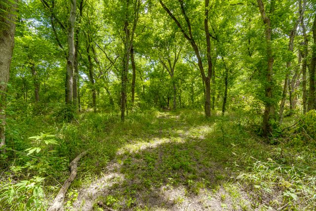 TBD Oak Tree, Waxahachie, TX 75167