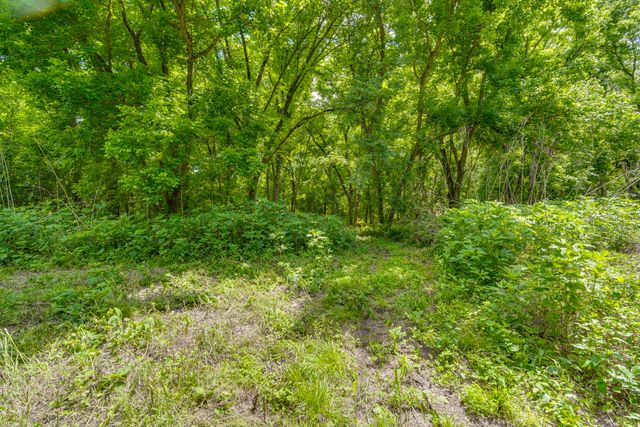 TBD Oak Tree, Waxahachie, TX 75167