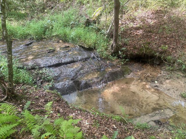 125 Winding Creek Road, Blue Ridge, GA 30513