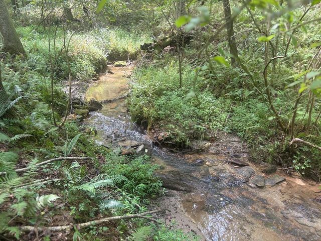 125 Winding Creek Road, Blue Ridge, GA 30513