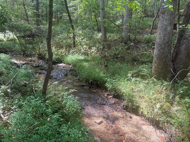 125 Winding Creek Road, Blue Ridge, GA 30513