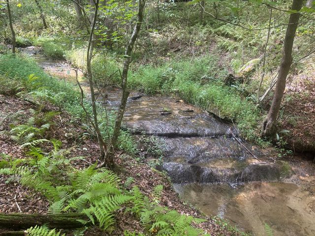 125 Winding Creek Road, Blue Ridge, GA 30513