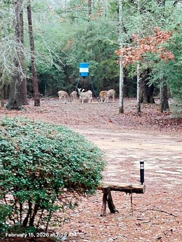 771 County Road 783, Douglass, TX 75943