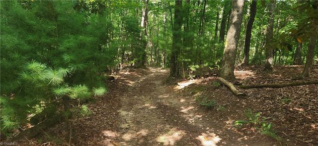 0 Lyons Road, Roaring Gap, NC 28668