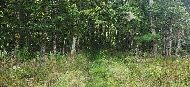 0 Lyons Road, Roaring Gap, NC 28668