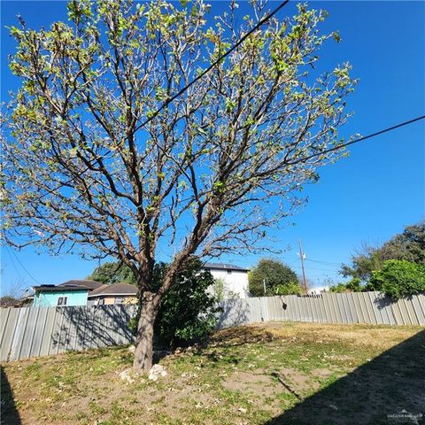 421 Casiano Street, Donna, TX 78537