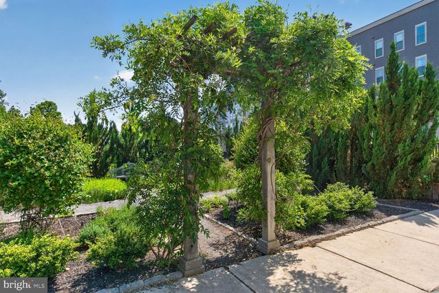 6127 OLIVET DR, Alexandria, VA 22315