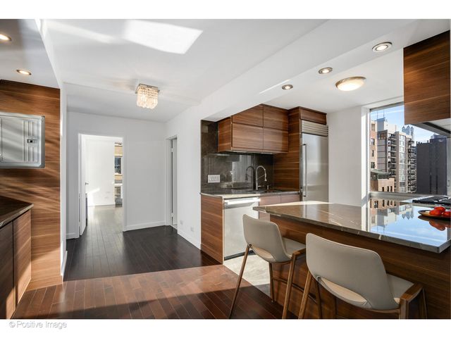 1555 N Dearborn Street 14AB, Chicago, IL 60610