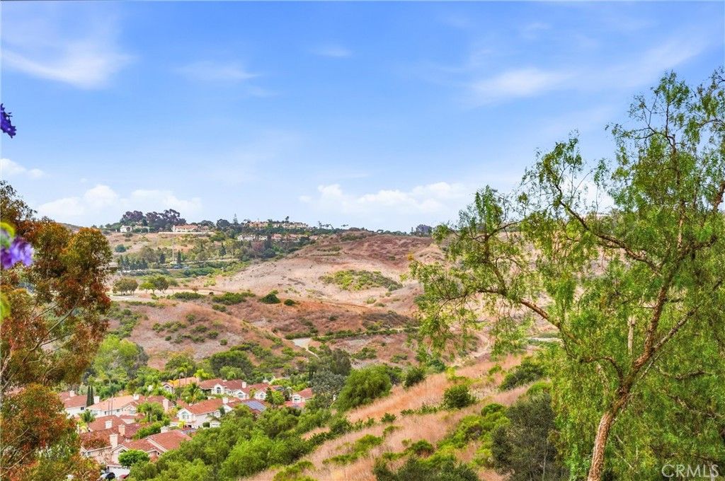 29 Fleurance Street, Laguna Niguel, CA 92677 — photo 3