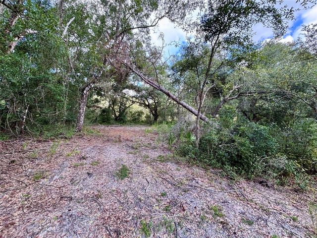0 BEDROCK DRIVE, Webster, FL 33597