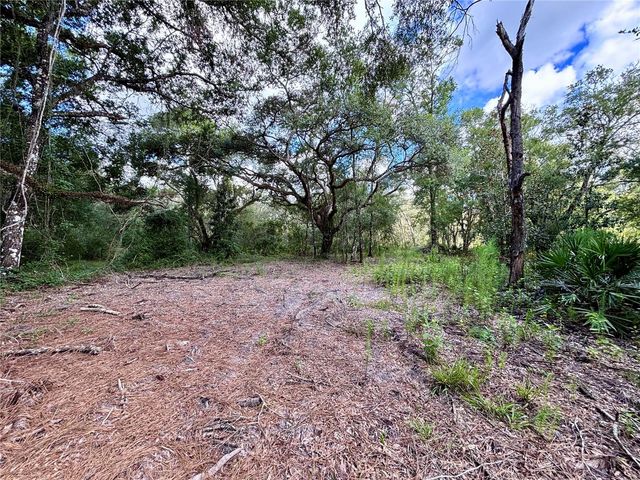 0 BEDROCK DRIVE, Webster, FL 33597