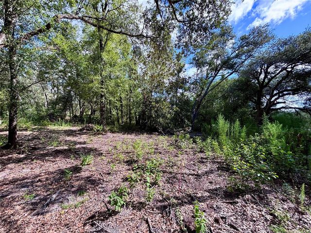 0 BEDROCK DRIVE, Webster, FL 33597