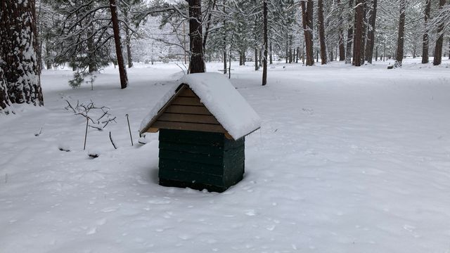 41008 Old School Road, Fall River Mills, CA 96028