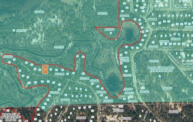 254 BRUSSELS AVENUE, Interlachen, FL 32148