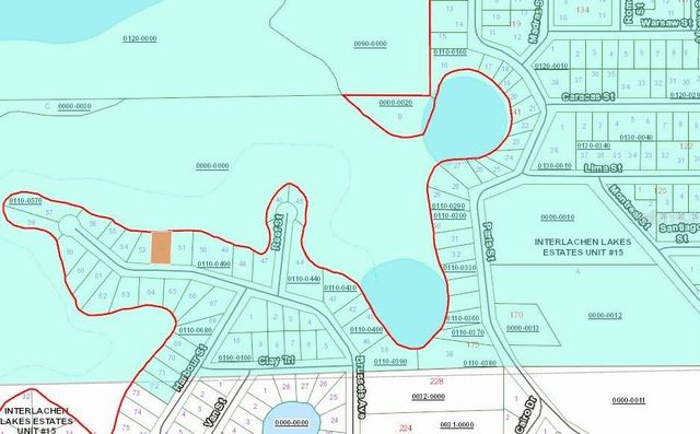 254 BRUSSELS AVENUE, Interlachen, FL 32148