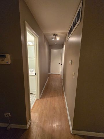 314 Silverwood Court B1, Schaumburg, IL 60193