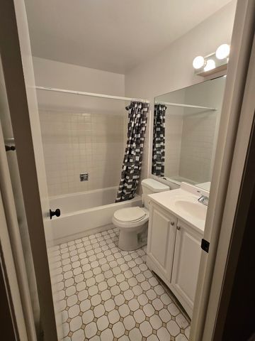 314 Silverwood Court B1, Schaumburg, IL 60193
